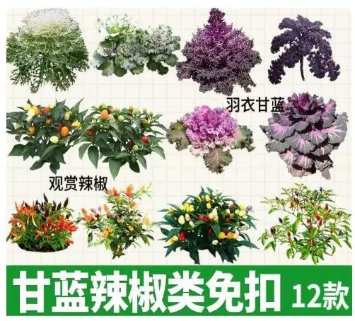 360截图20260927074154071.jpg