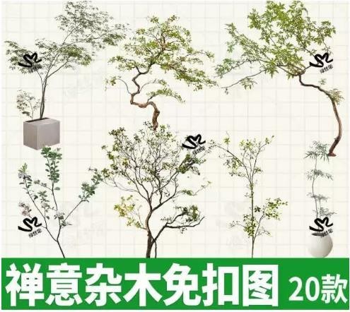禅意小杂木庭院PNG免扣造景树木素材