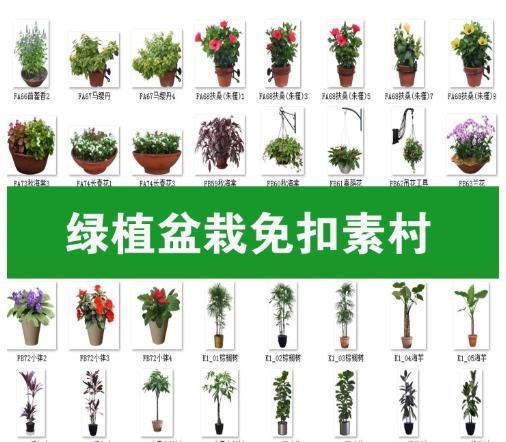procreate绿植盆栽盆景ps素材花盆高清室内景观植物设计免抠图png